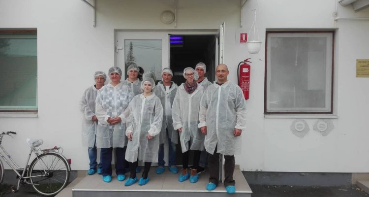 Hogyan készül a bivaly mozzarella?