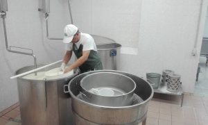 Hogyan készül a bivaly mozzarella-06